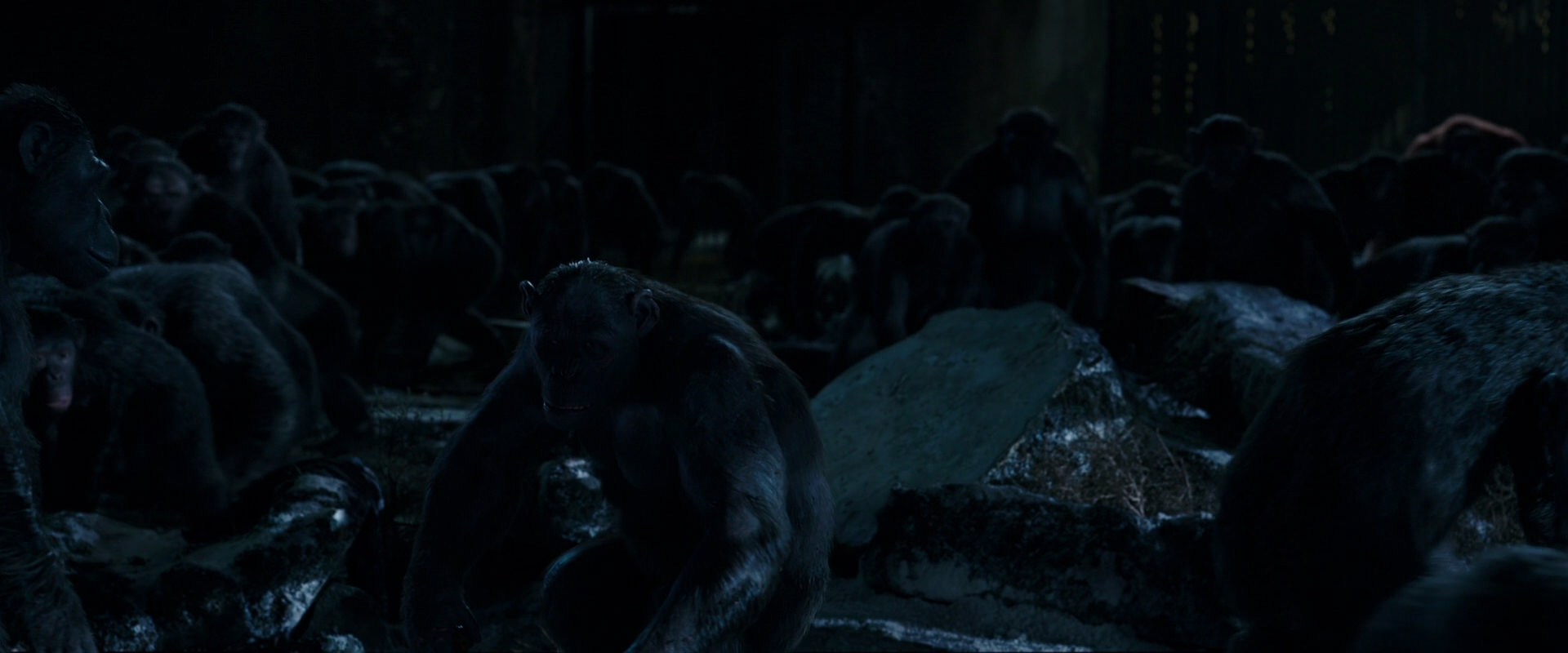 War for the Planet of the Apes (2017) movie still 12754