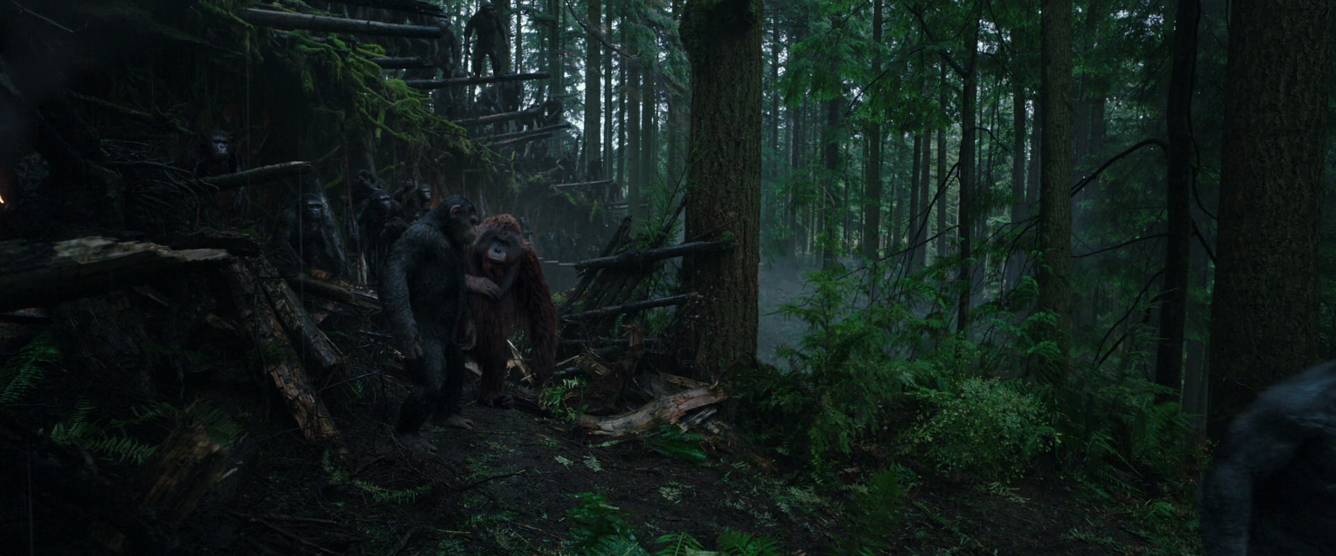 War for the Planet of the Apes (2017) movie still 1276