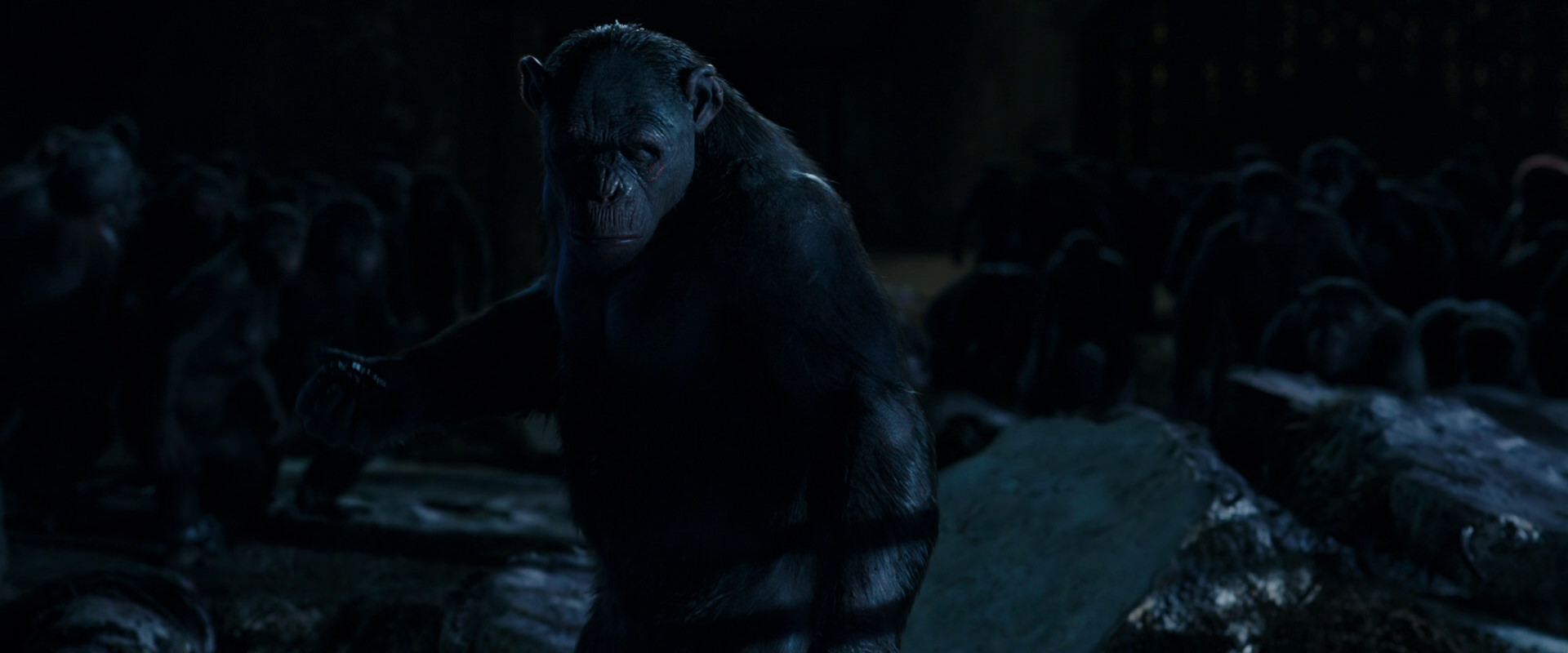 War for the Planet of the Apes (2017) movie still 12766