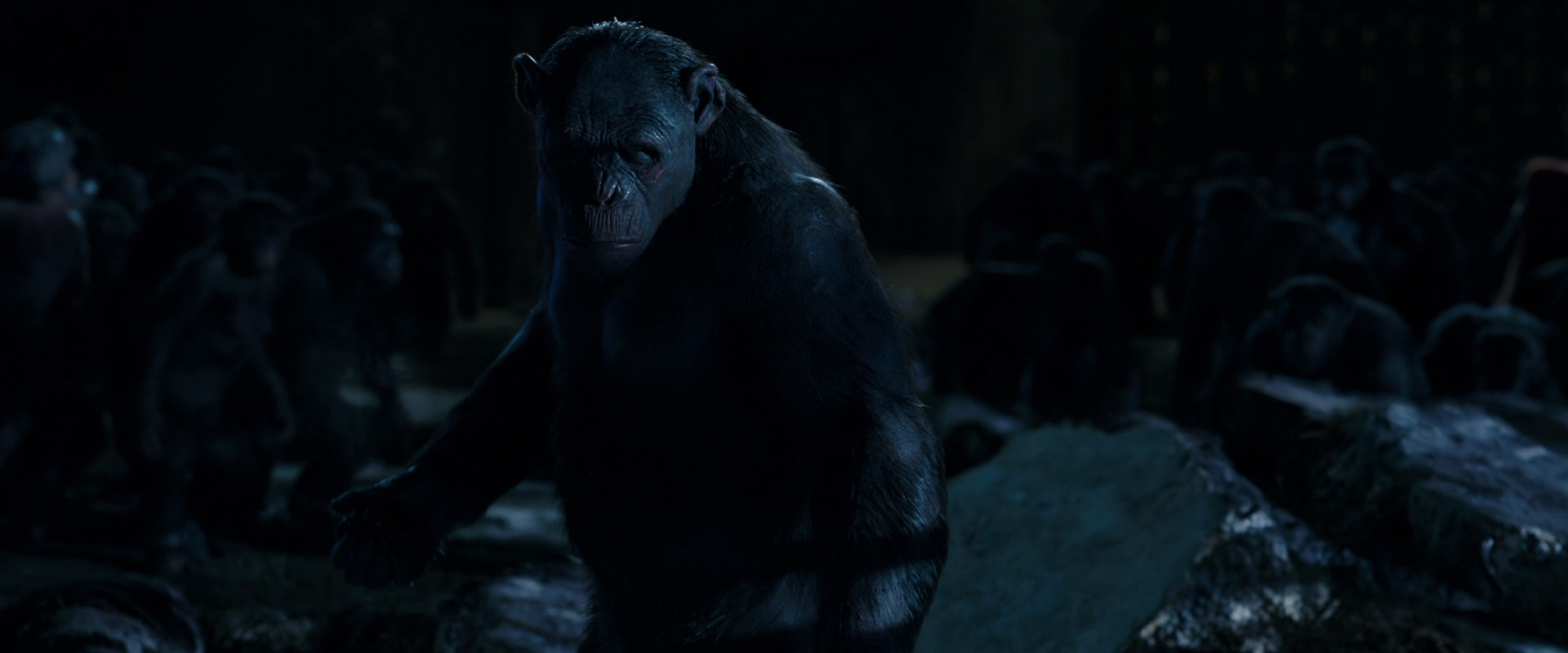 War for the Planet of the Apes (2017) HD screenshot 12767