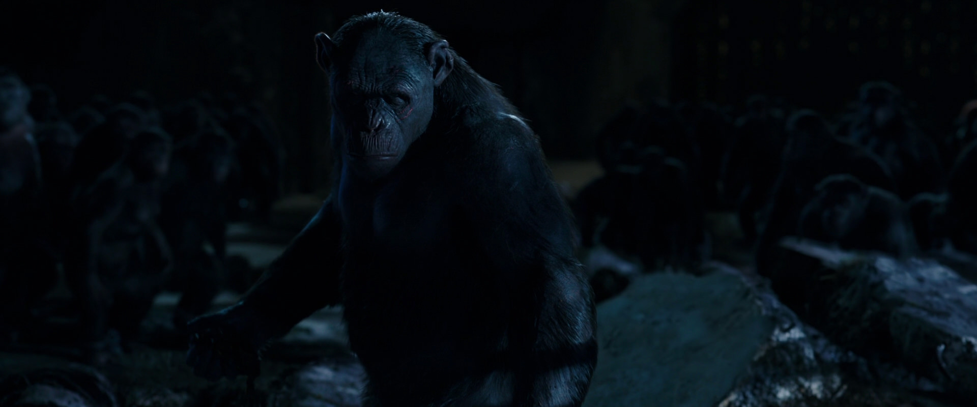 War for the Planet of the Apes (2017) screencap 12768