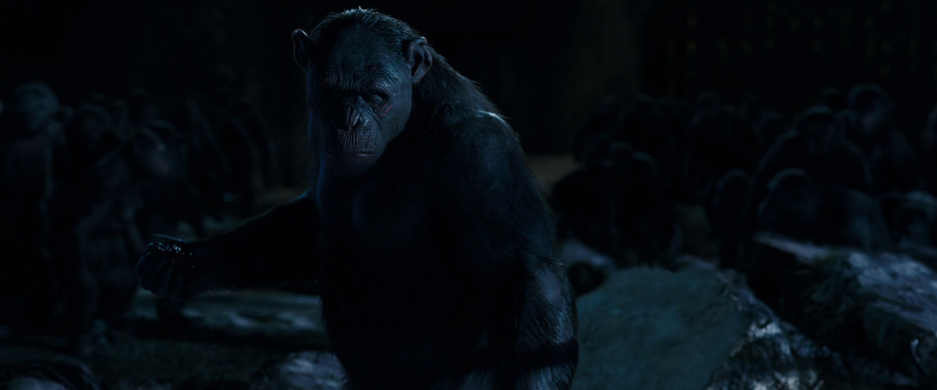 War for the Planet of the Apes (2017) movie still 12769
