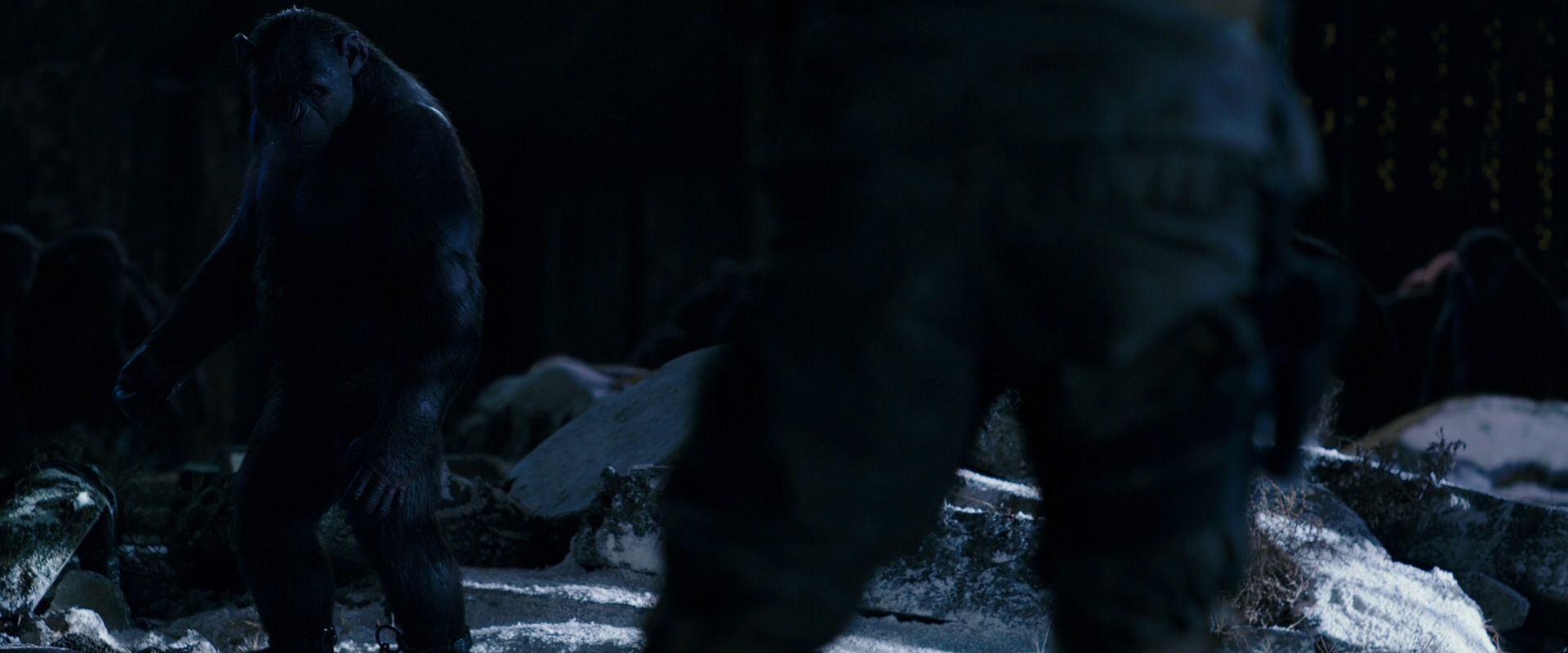 War for the Planet of the Apes (2017) screencap 12774
