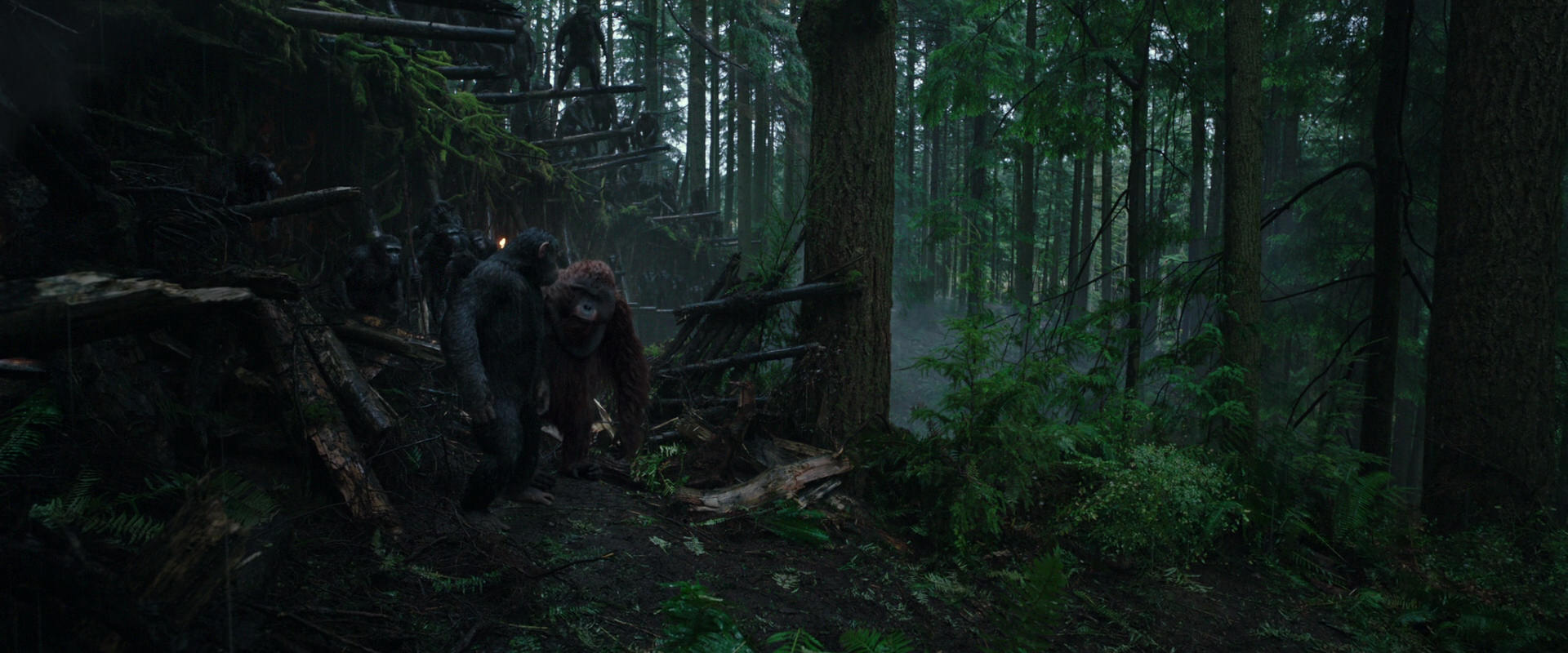 War for the Planet of the Apes (2017) screencap 1278