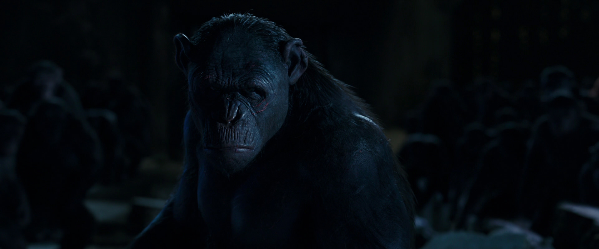 War for the Planet of the Apes (2017) movie still 12784