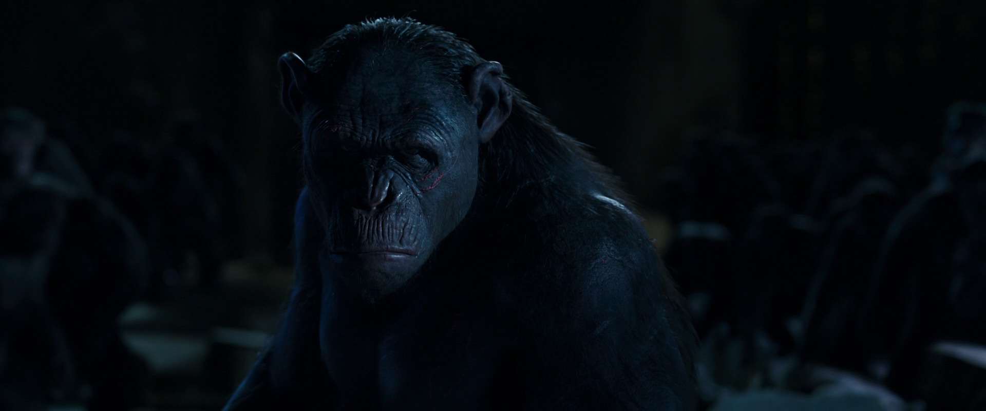 War for the Planet of the Apes (2017) HD screenshot 12785