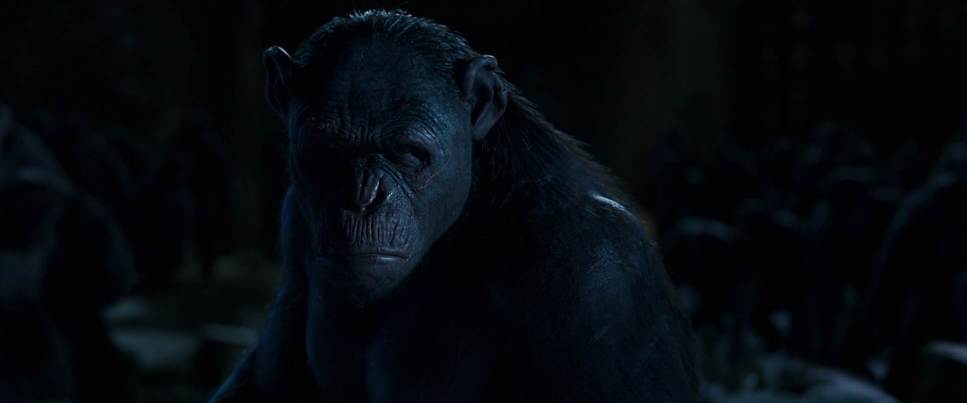 War for the Planet of the Apes (2017) screencap 12786