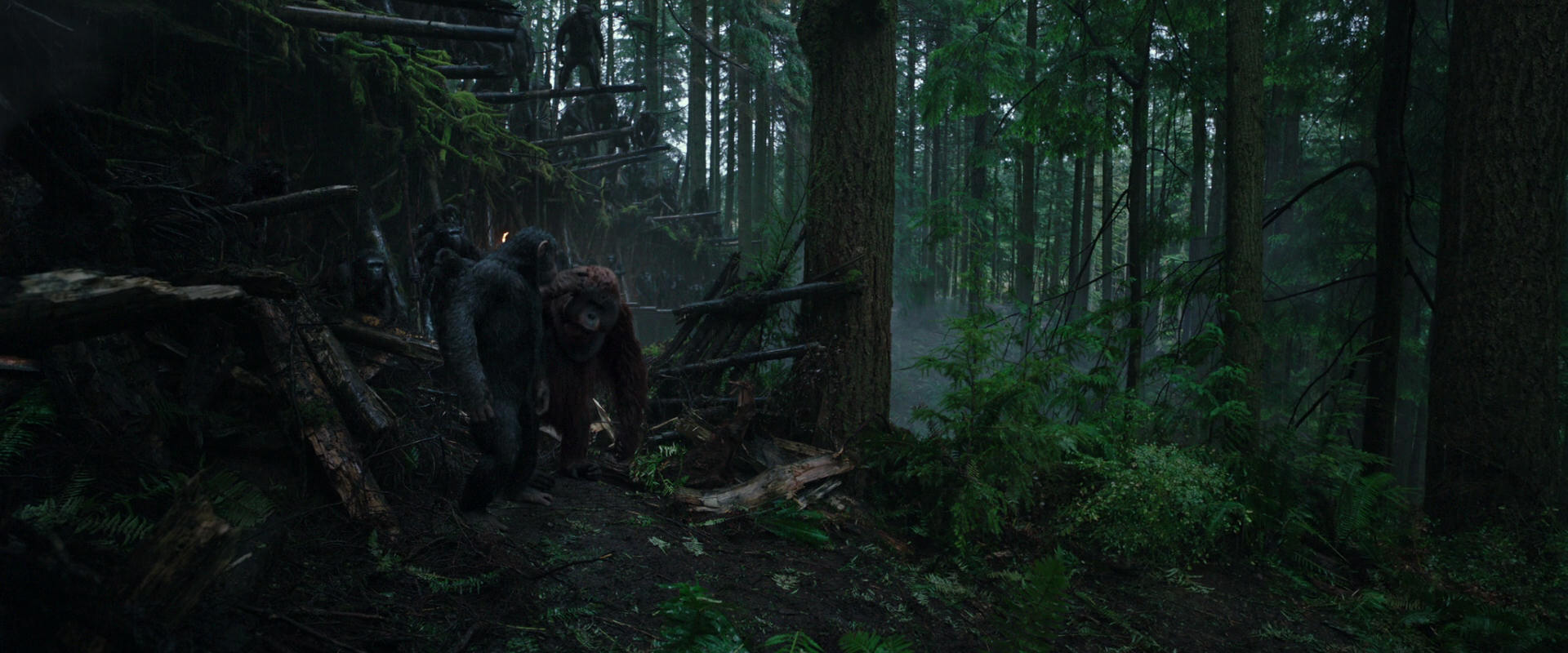 War for the Planet of the Apes (2017) movie still 1279