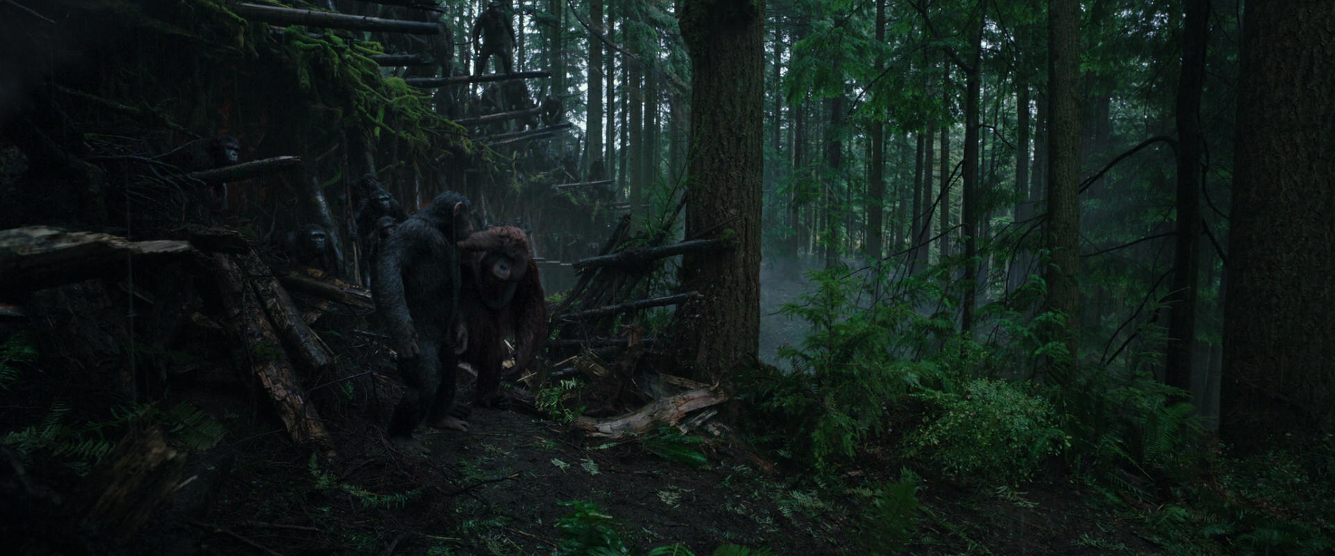 War for the Planet of the Apes (2017) screencap 1281