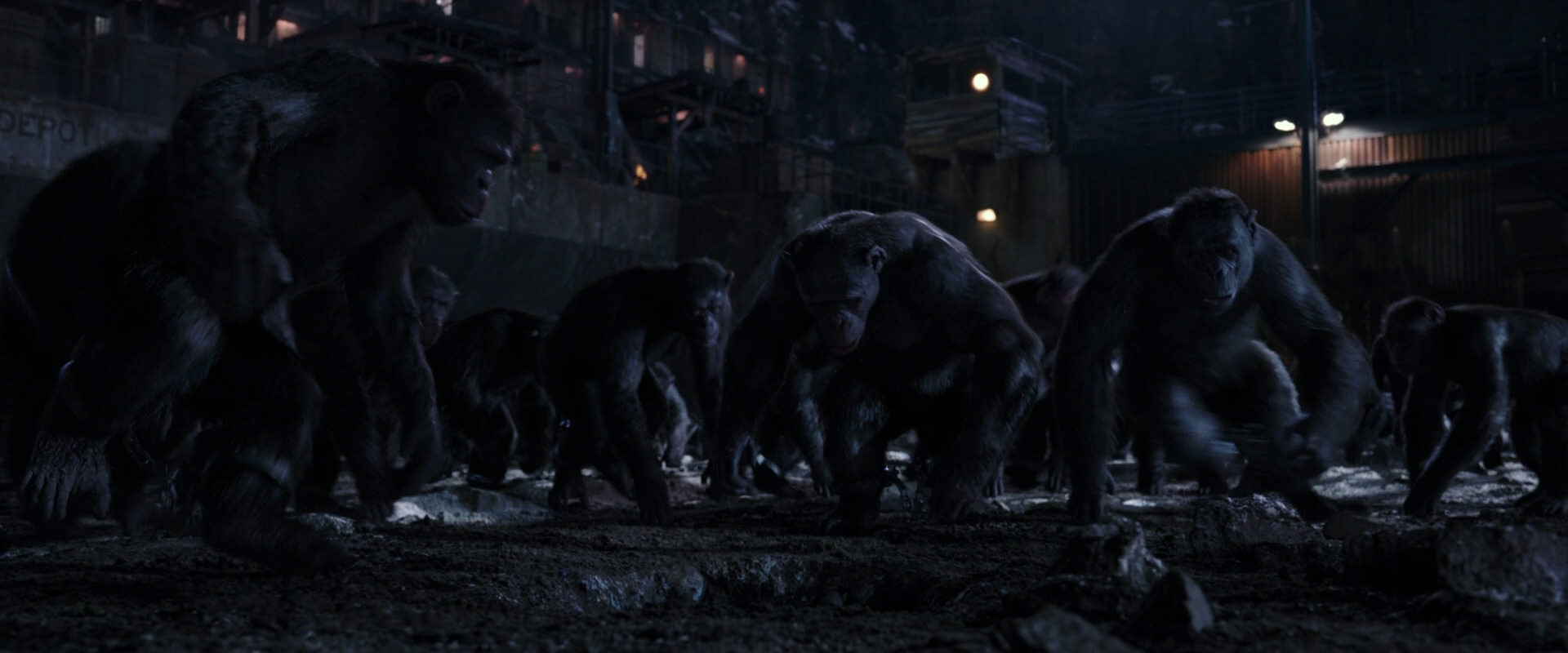 War for the Planet of the Apes (2017) movie still 12811