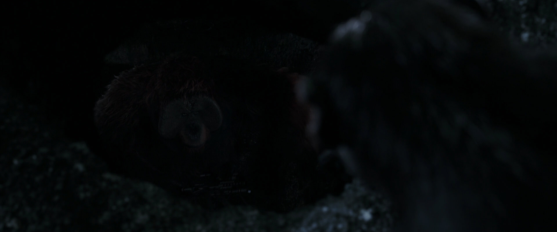 War for the Planet of the Apes (2017) HD screenshot 12815