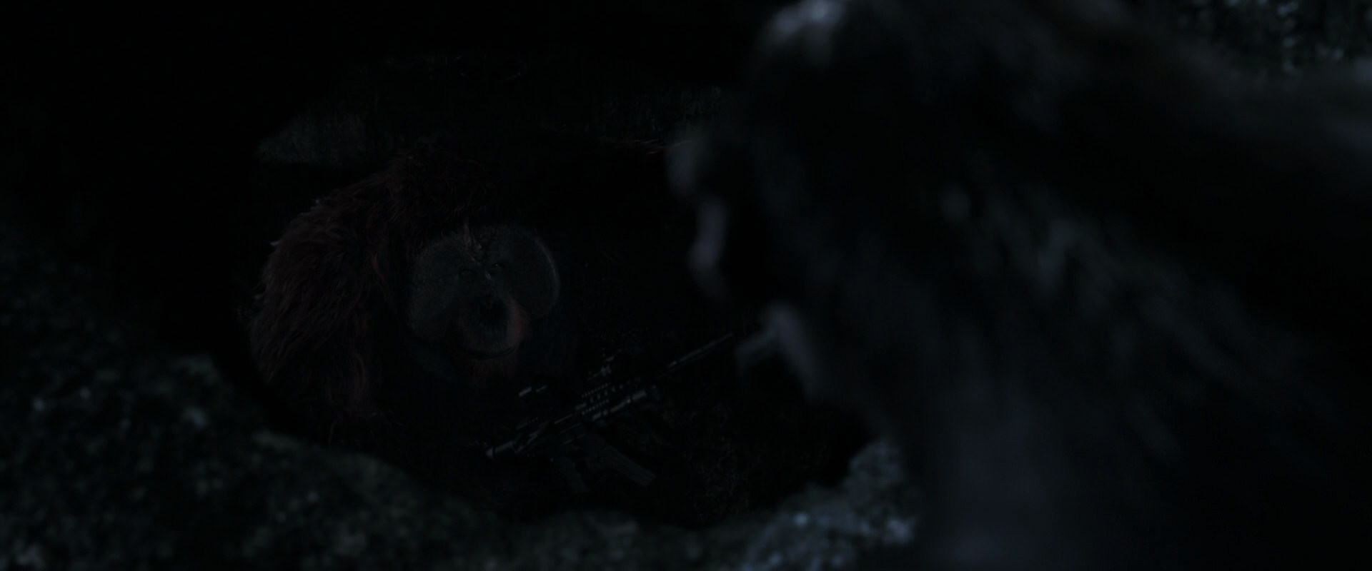 War for the Planet of the Apes (2017) screencap 12816