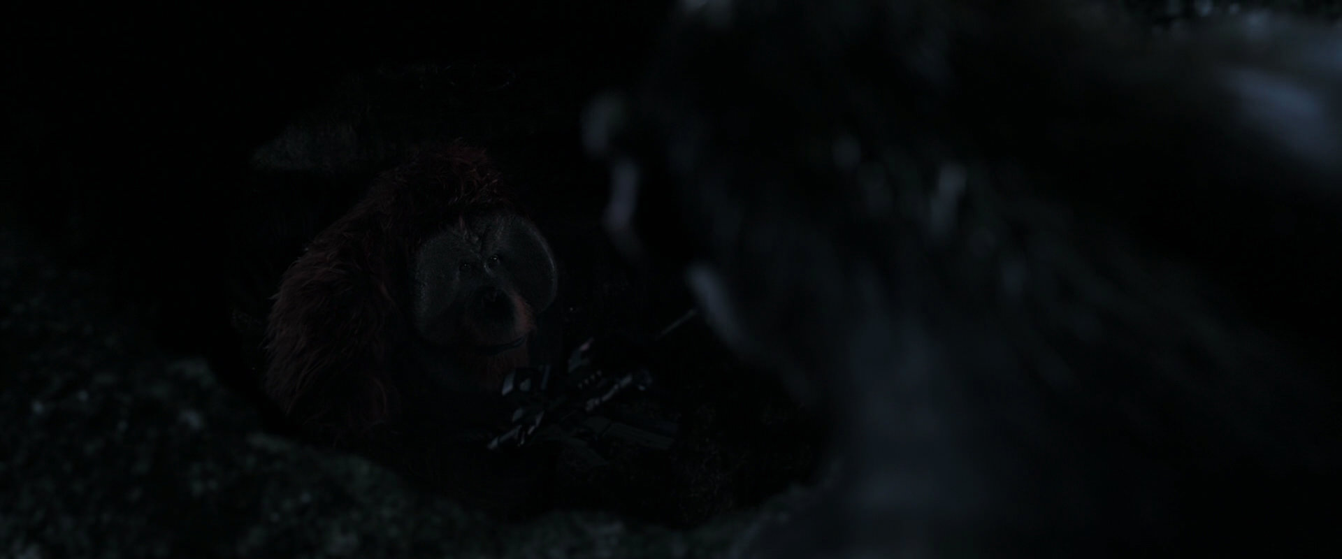 War for the Planet of the Apes (2017) movie still 12817