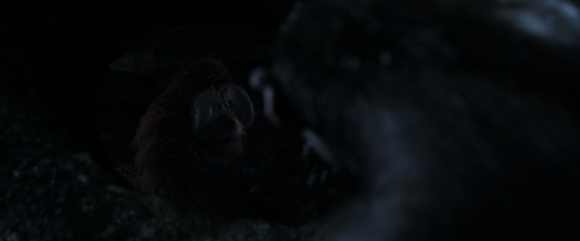 War for the Planet of the Apes (2017) screencap 12819
