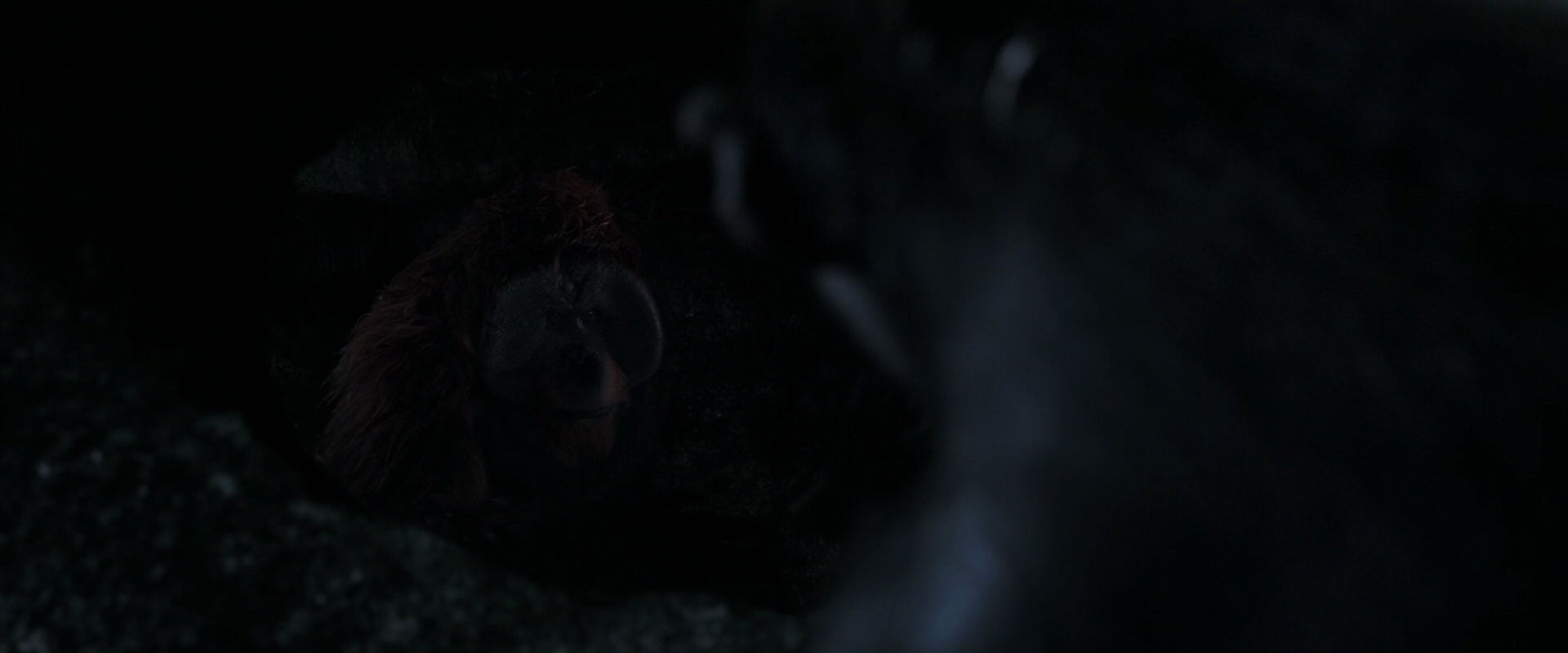War for the Planet of the Apes (2017) movie still 12820