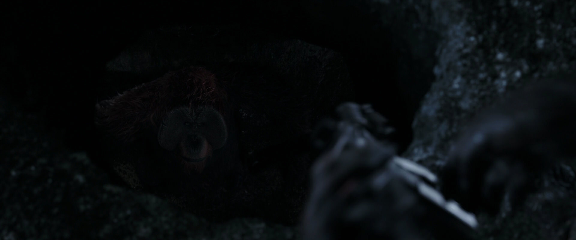 War for the Planet of the Apes (2017) screencap 12822