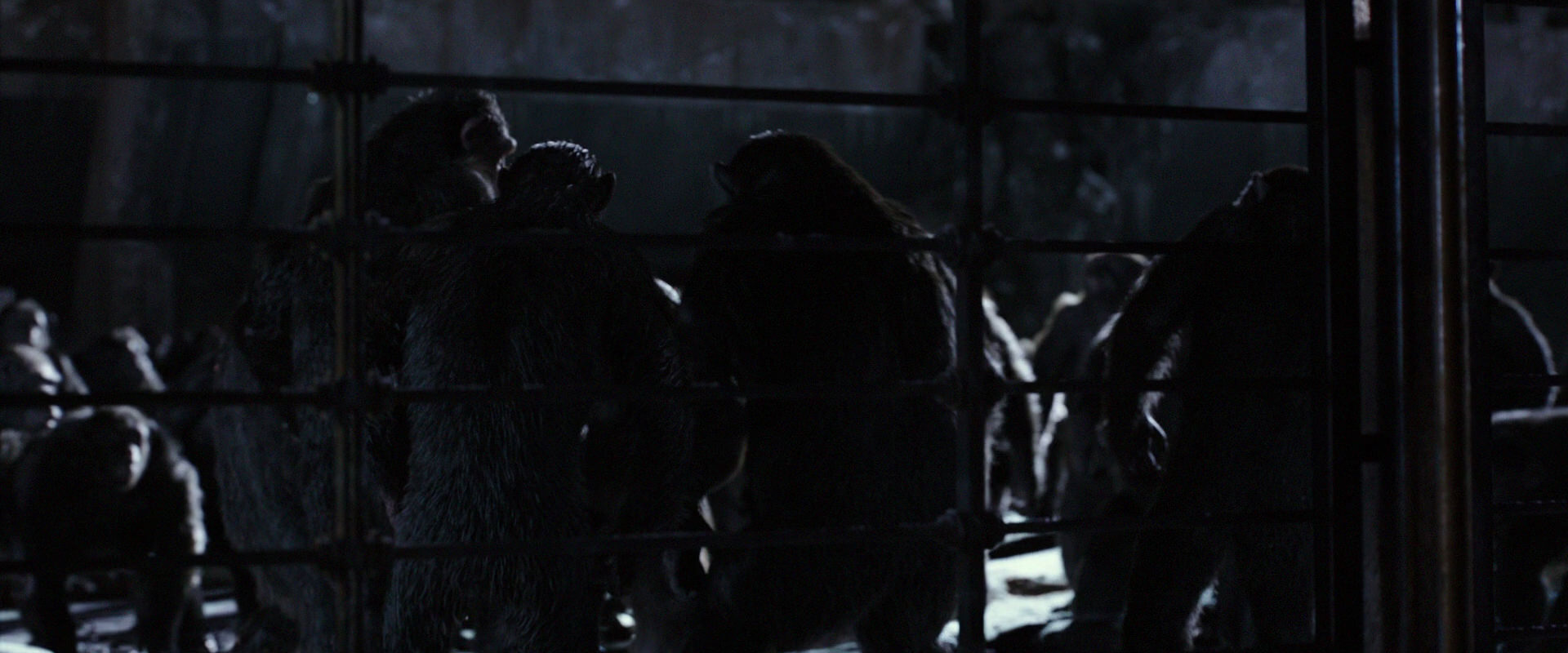 War for the Planet of the Apes (2017) movie still 12823