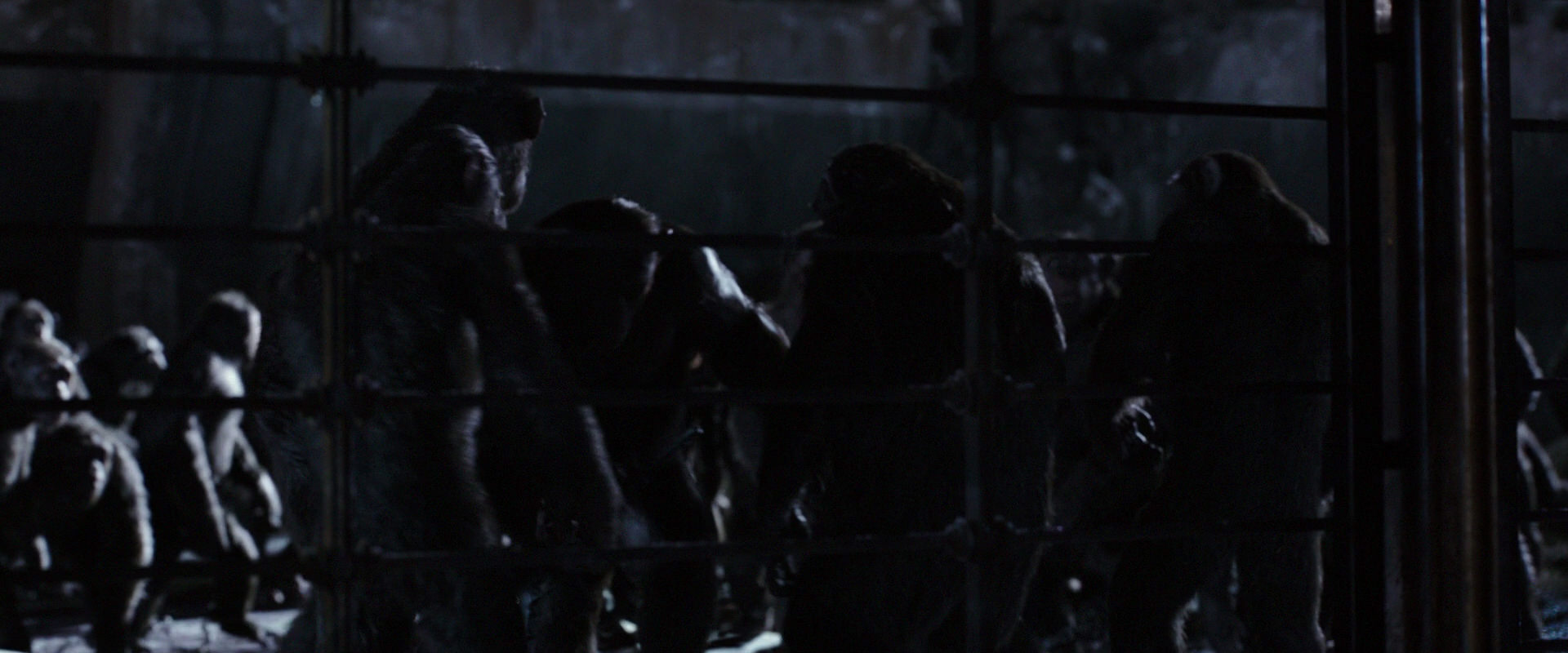 War for the Planet of the Apes (2017) HD screenshot 12824