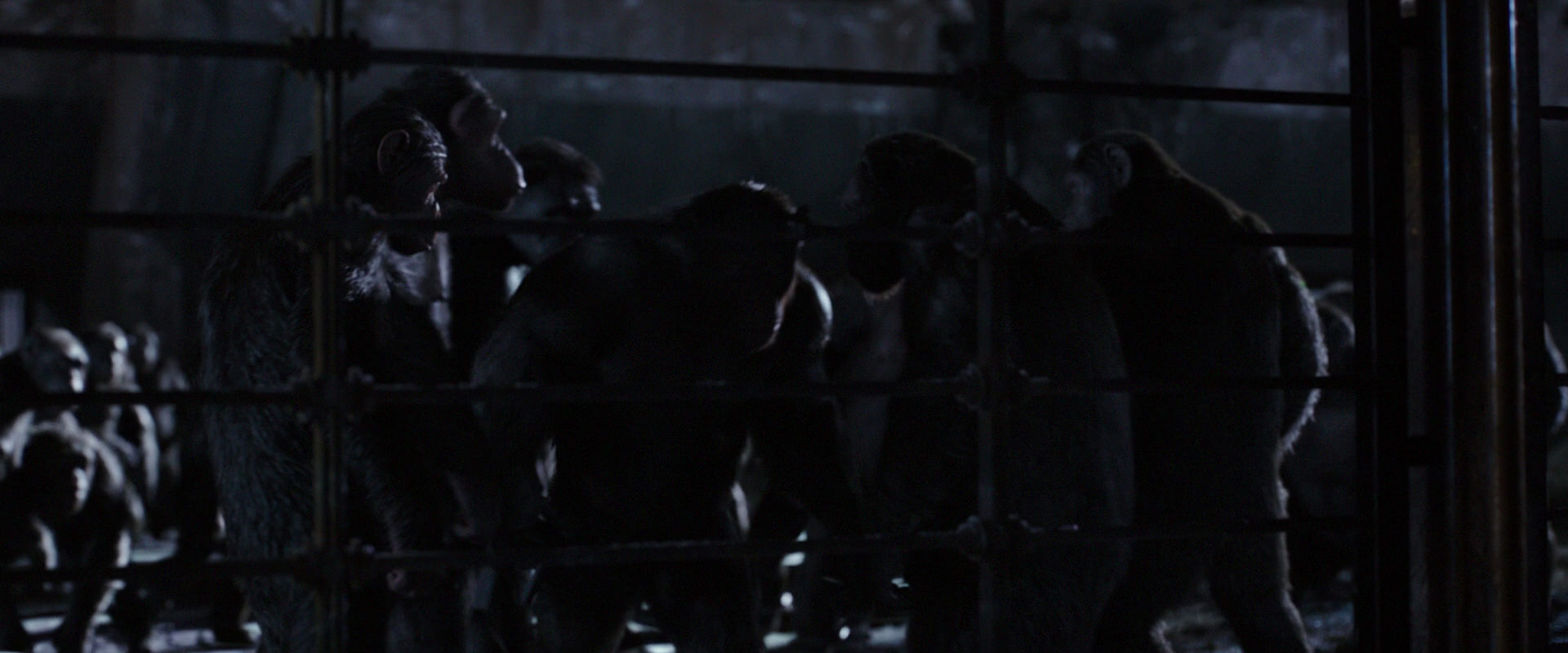 War for the Planet of the Apes (2017) screencap 12825