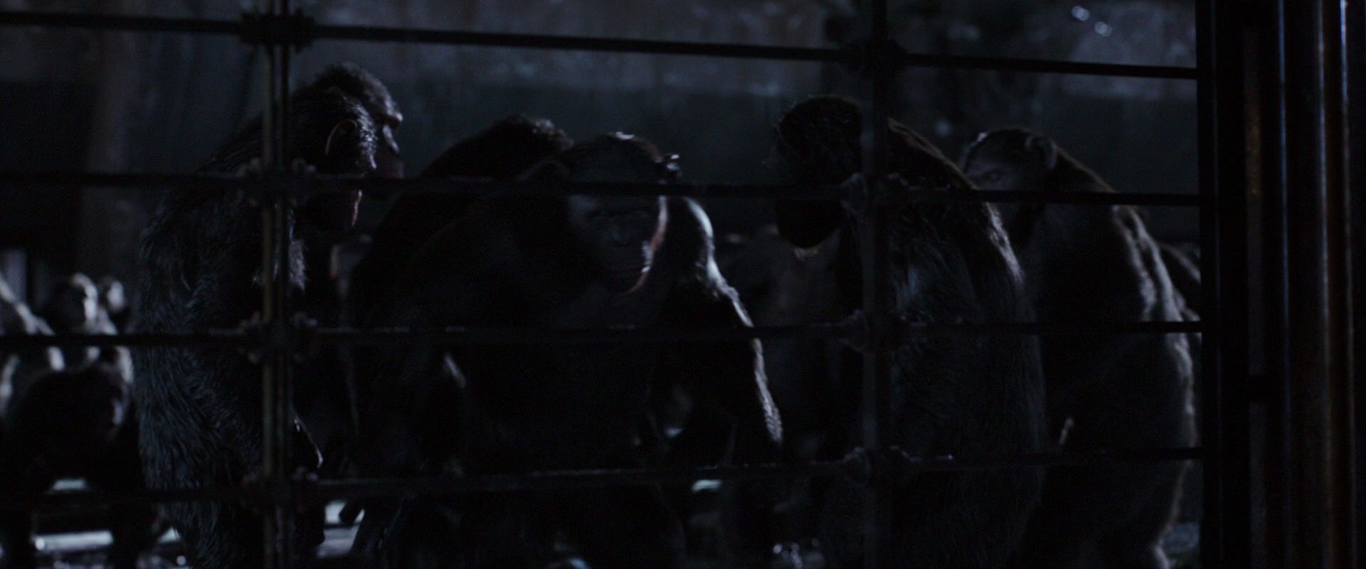 War for the Planet of the Apes (2017) movie still 12826