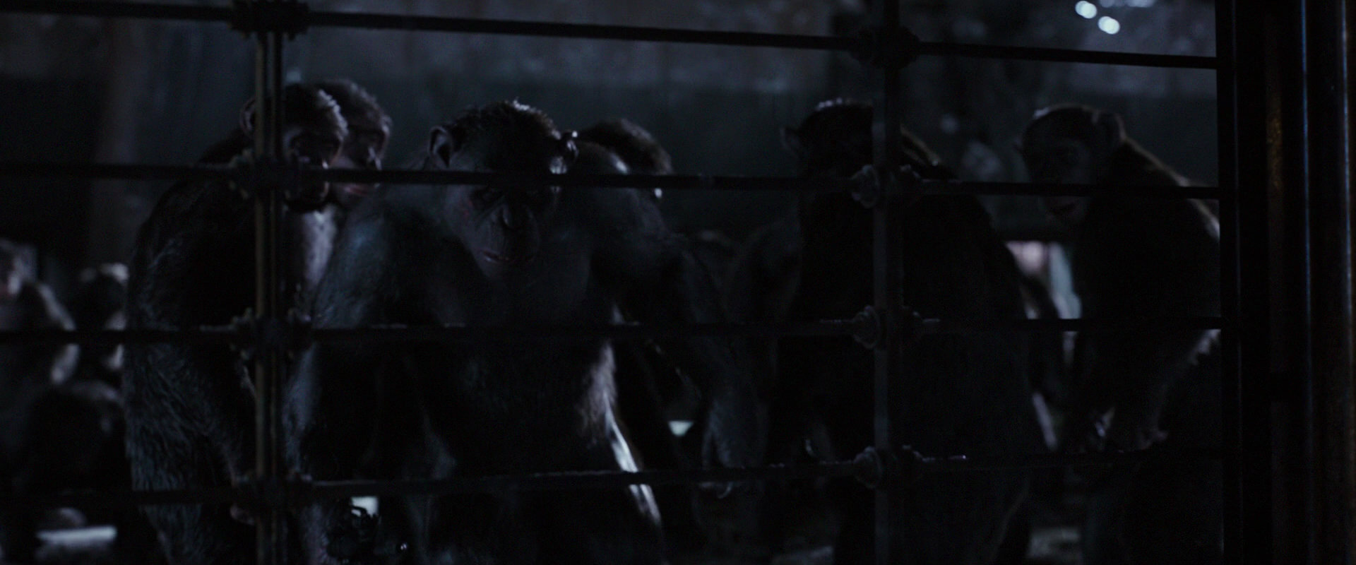 War for the Planet of the Apes (2017) HD screenshot 12827