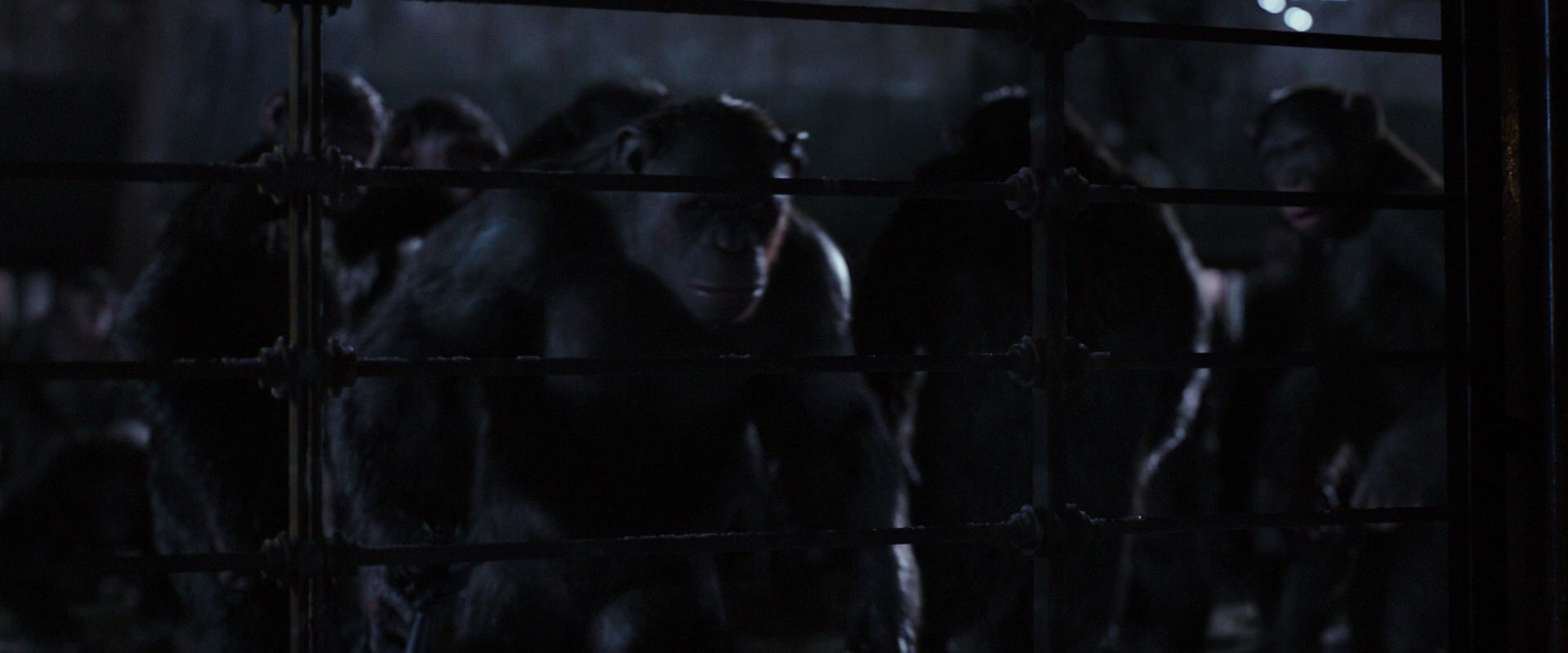War for the Planet of the Apes (2017) screencap 12828