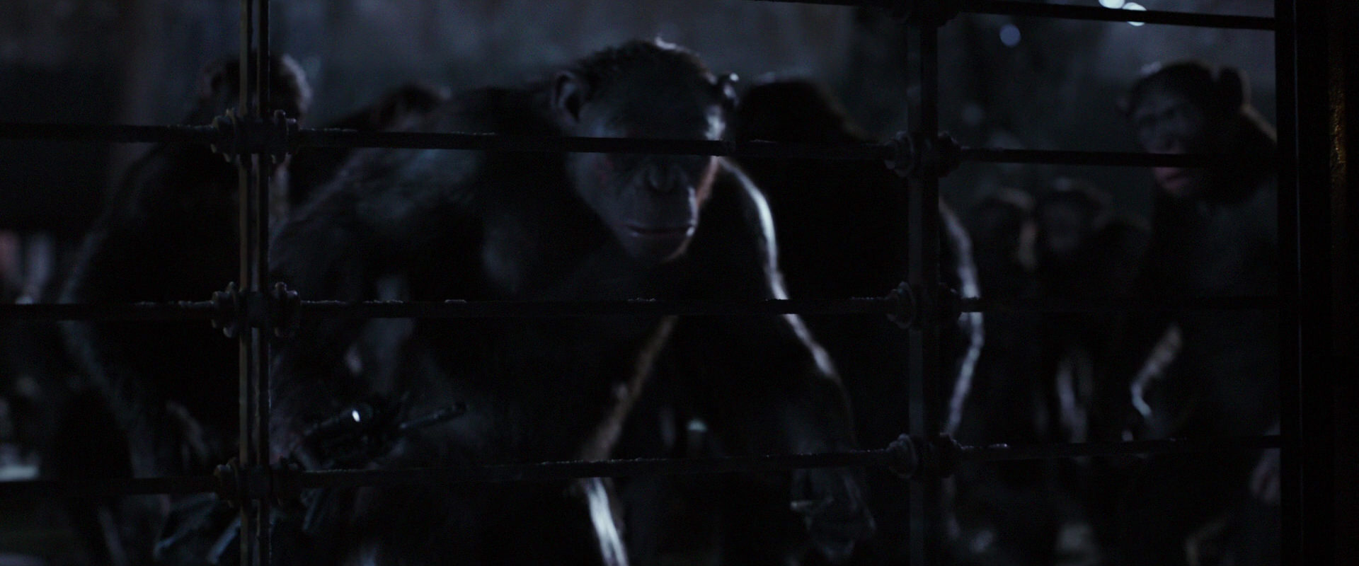 War for the Planet of the Apes (2017) movie still 12829