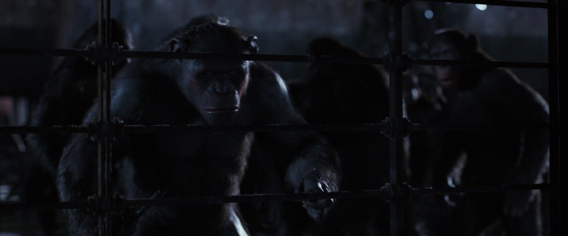 War for the Planet of the Apes (2017) HD screenshot 12830