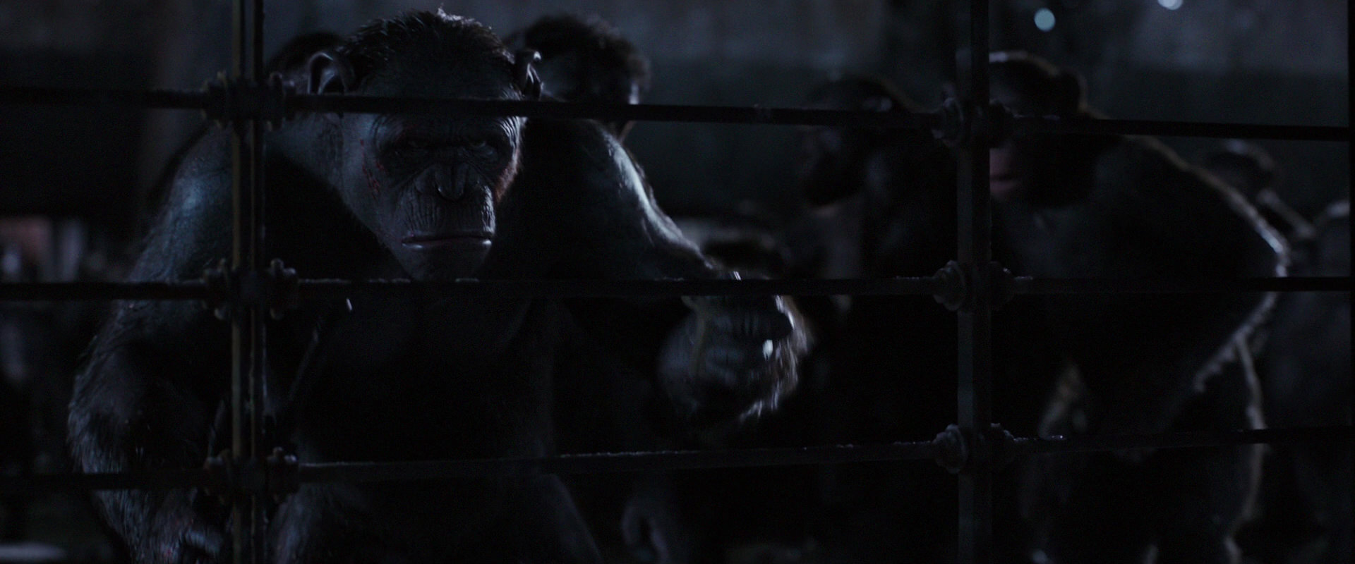 War for the Planet of the Apes (2017) screencap 12831