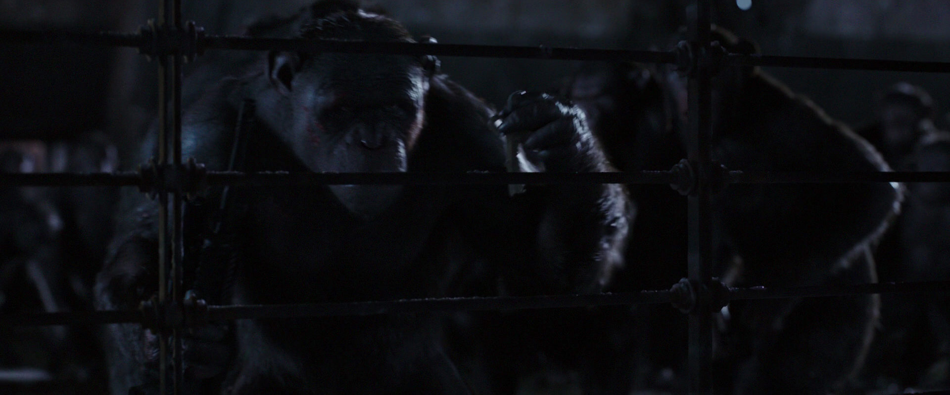 War for the Planet of the Apes (2017) movie still 12832
