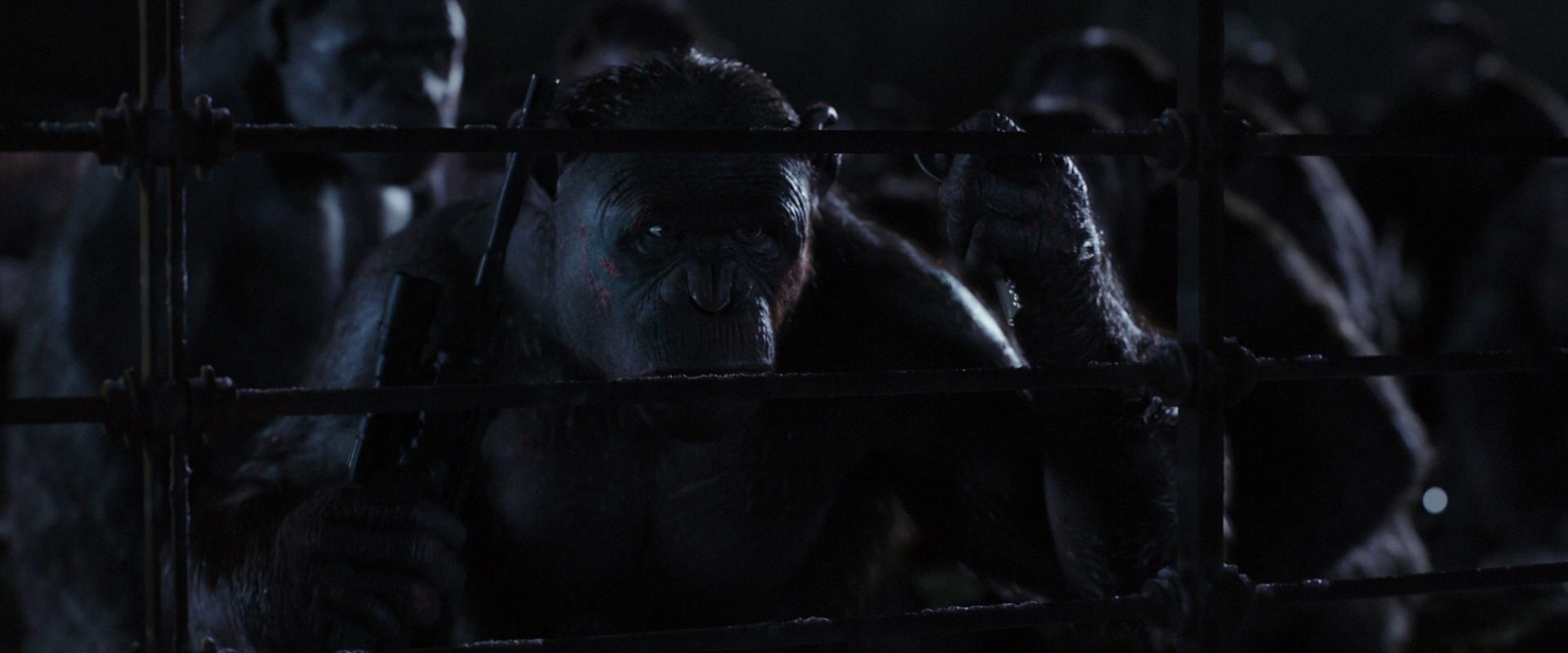 War for the Planet of the Apes (2017) HD screenshot 12836