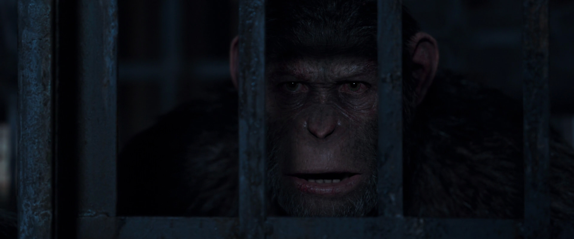 War for the Planet of the Apes (2017) screencap 12837