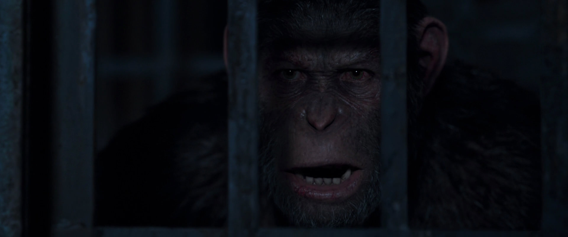 War for the Planet of the Apes (2017) movie still 12838
