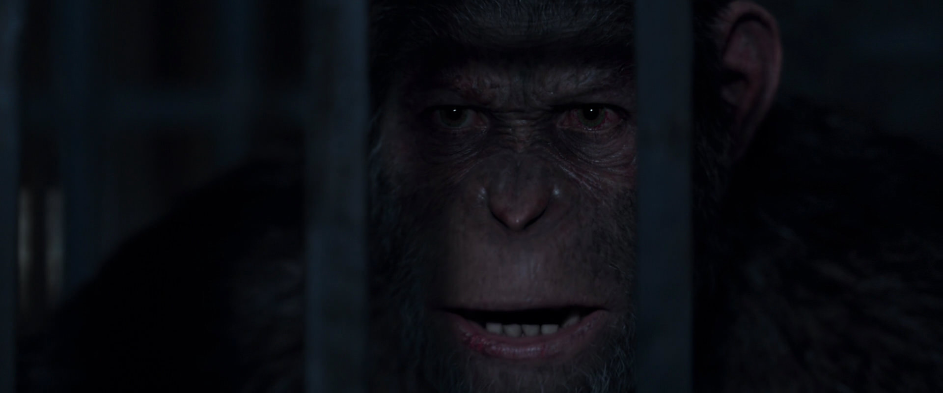 War for the Planet of the Apes (2017) HD screenshot 12839