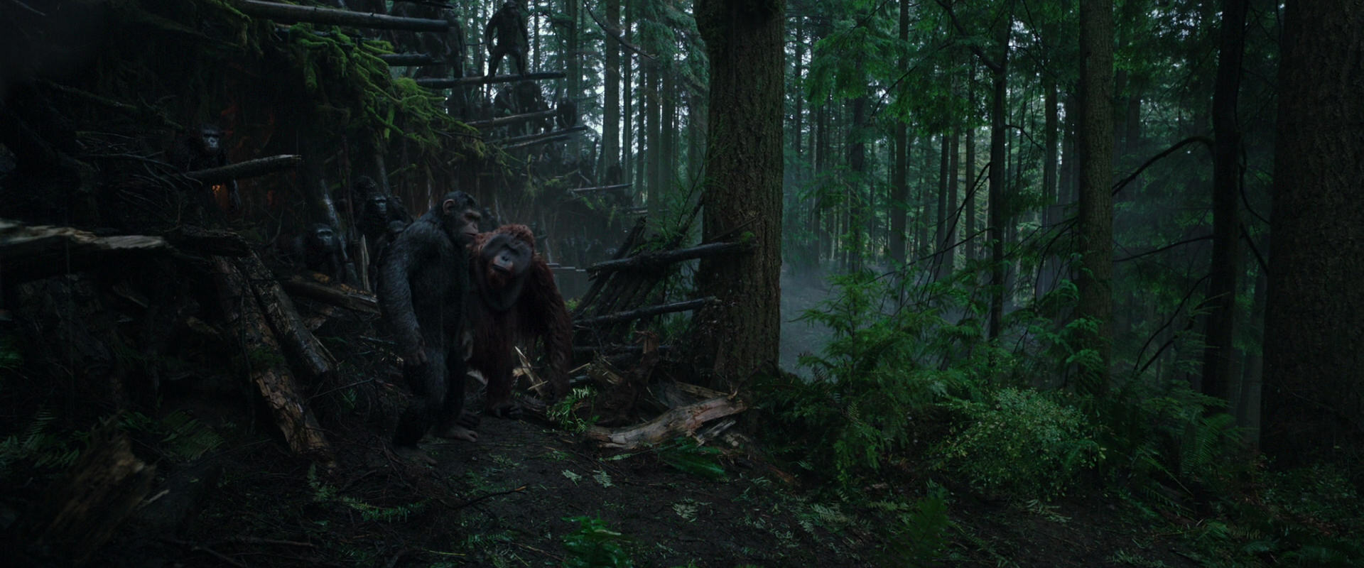 War for the Planet of the Apes (2017) screencap 1284