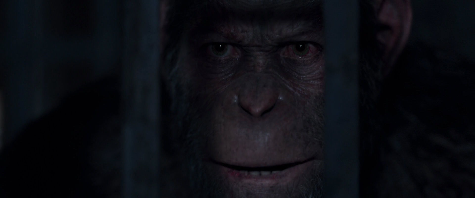 War for the Planet of the Apes (2017) screencap 12840
