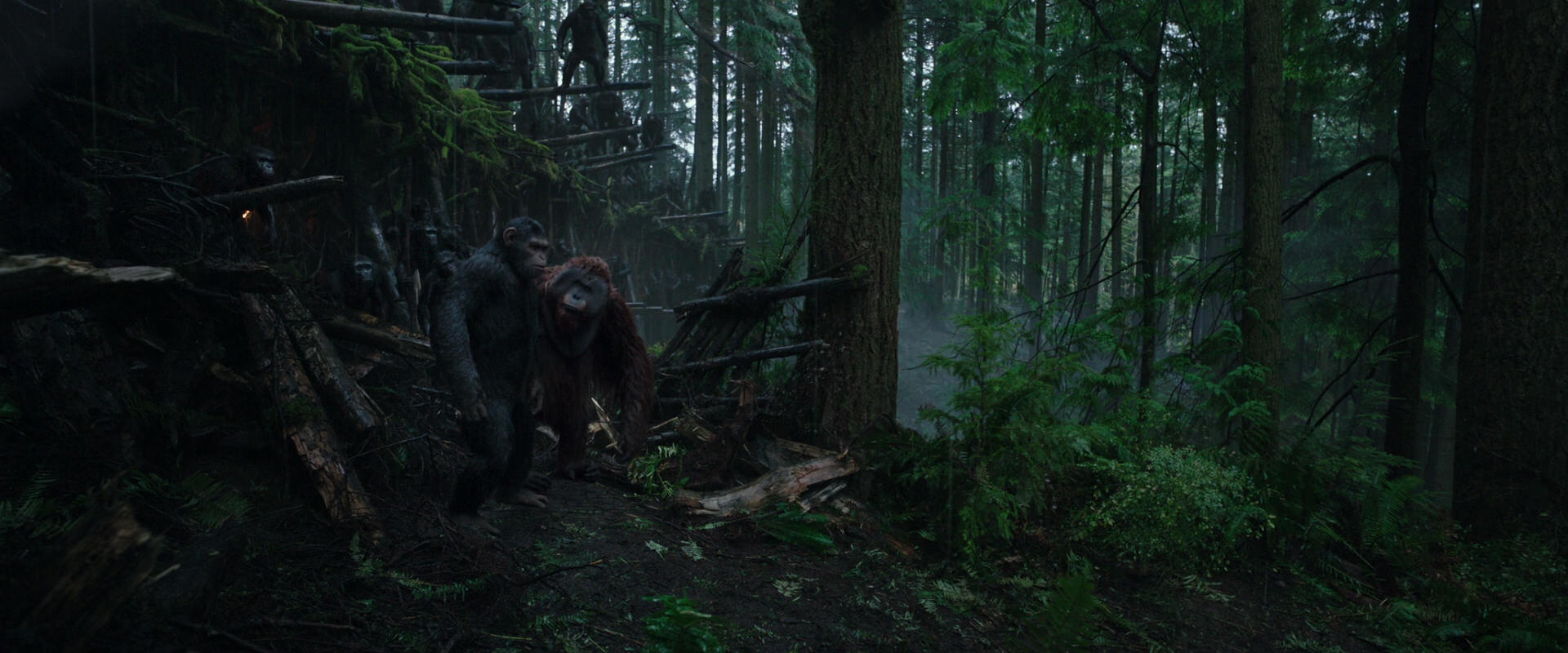 War for the Planet of the Apes (2017) movie still 1285