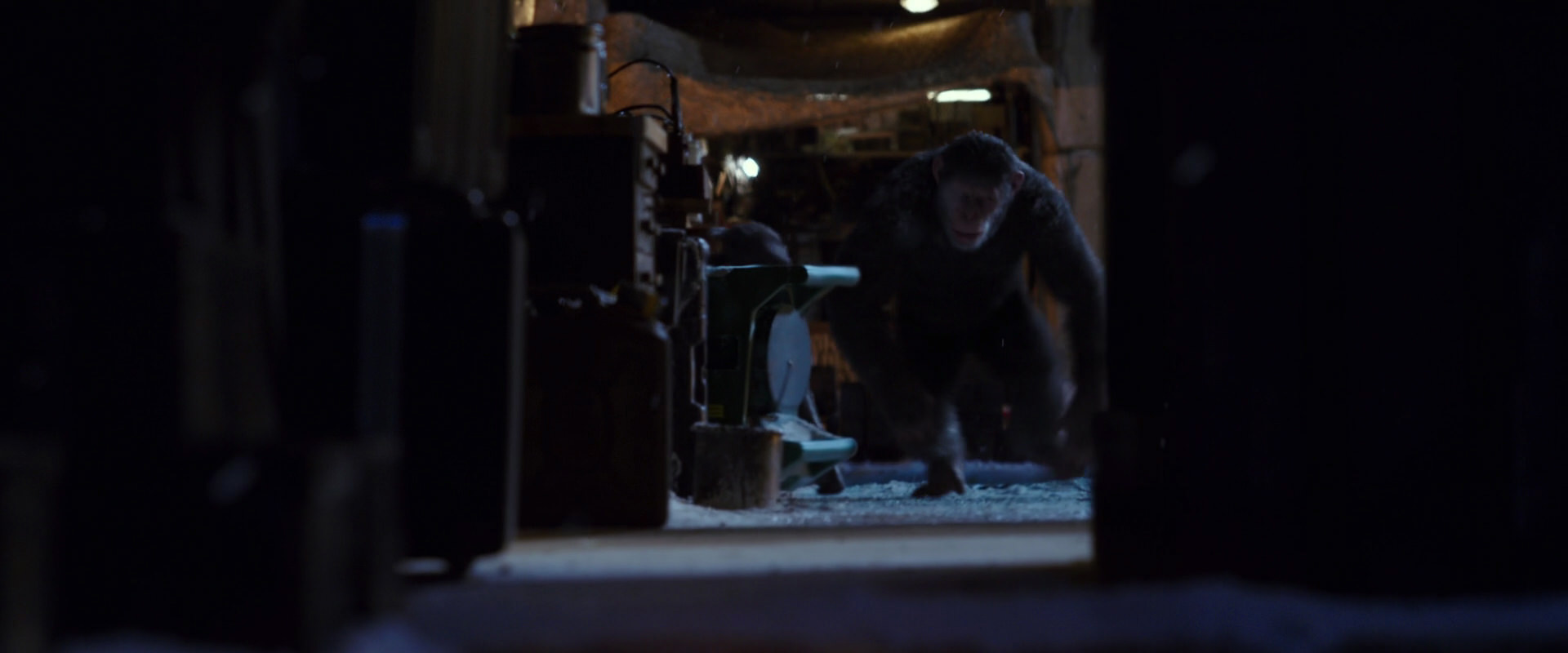 War for the Planet of the Apes (2017) screencap 12858