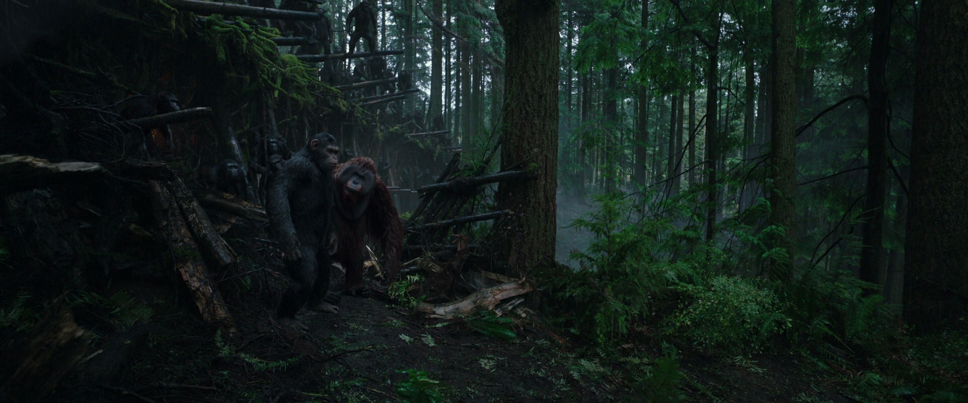 War for the Planet of the Apes (2017) HD screenshot 1286
