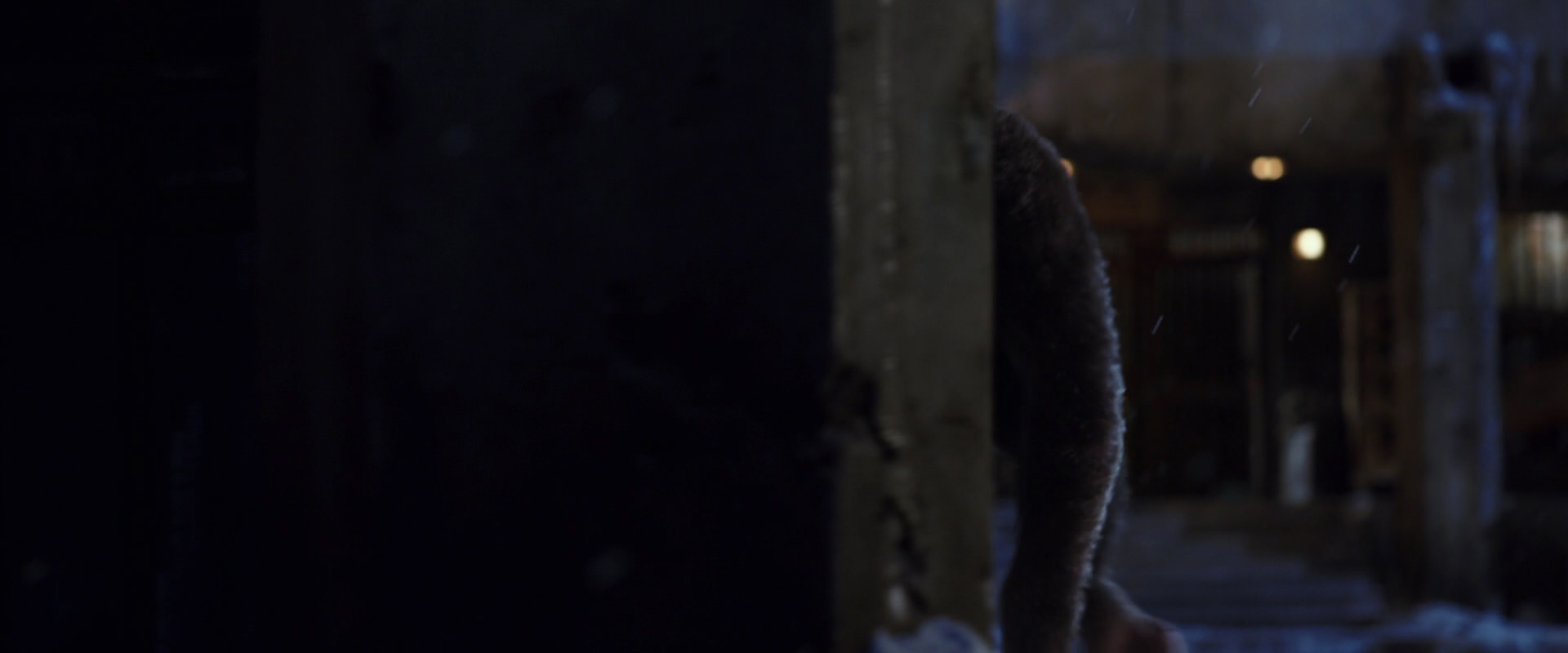 War for the Planet of the Apes (2017) HD screenshot 12863