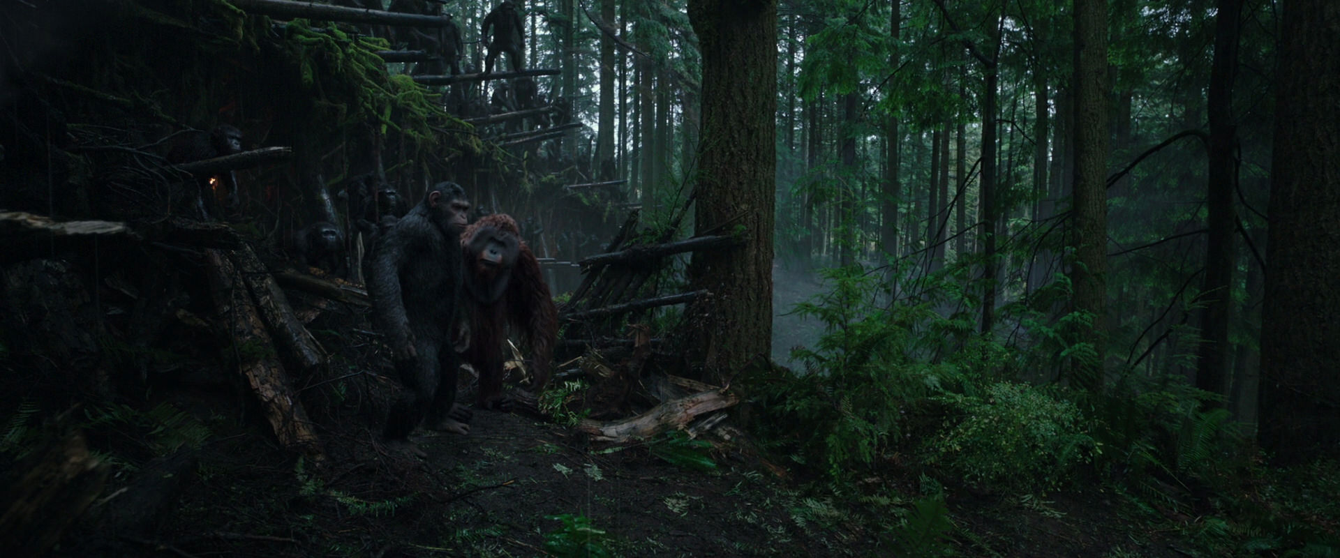 War for the Planet of the Apes (2017) screencap 1287