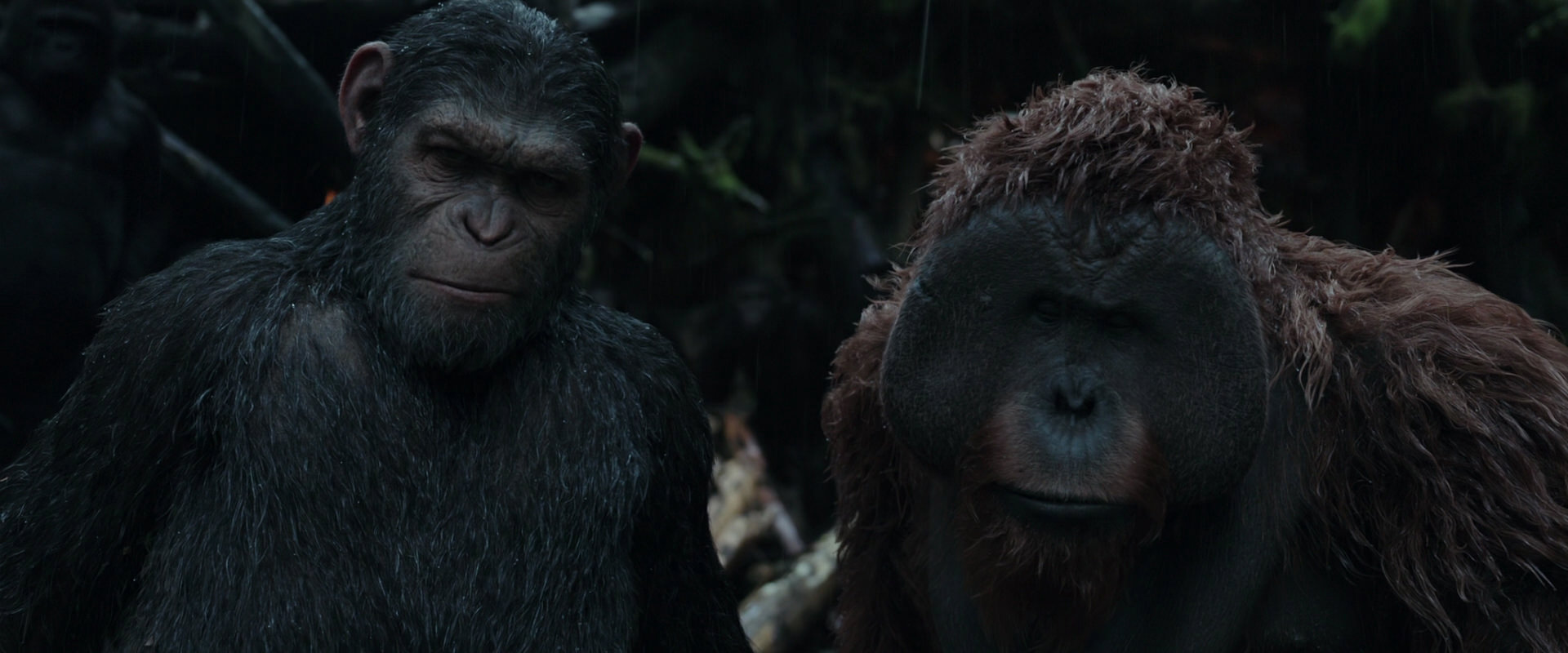 War for the Planet of the Apes (2017) movie still 1288