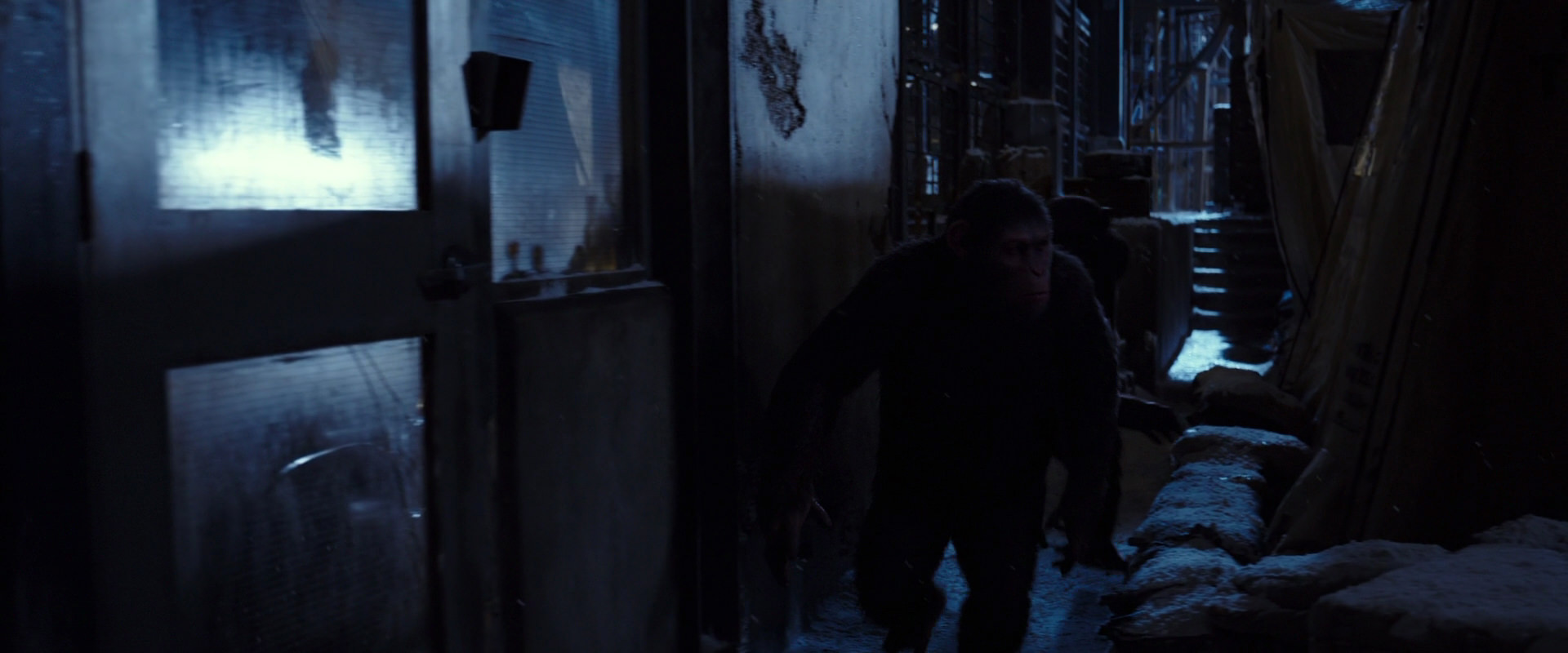 War for the Planet of the Apes (2017) screencap 12882