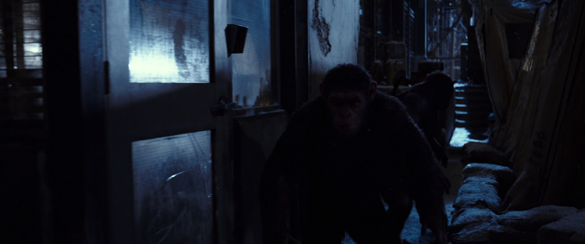 War for the Planet of the Apes (2017) movie still 12883