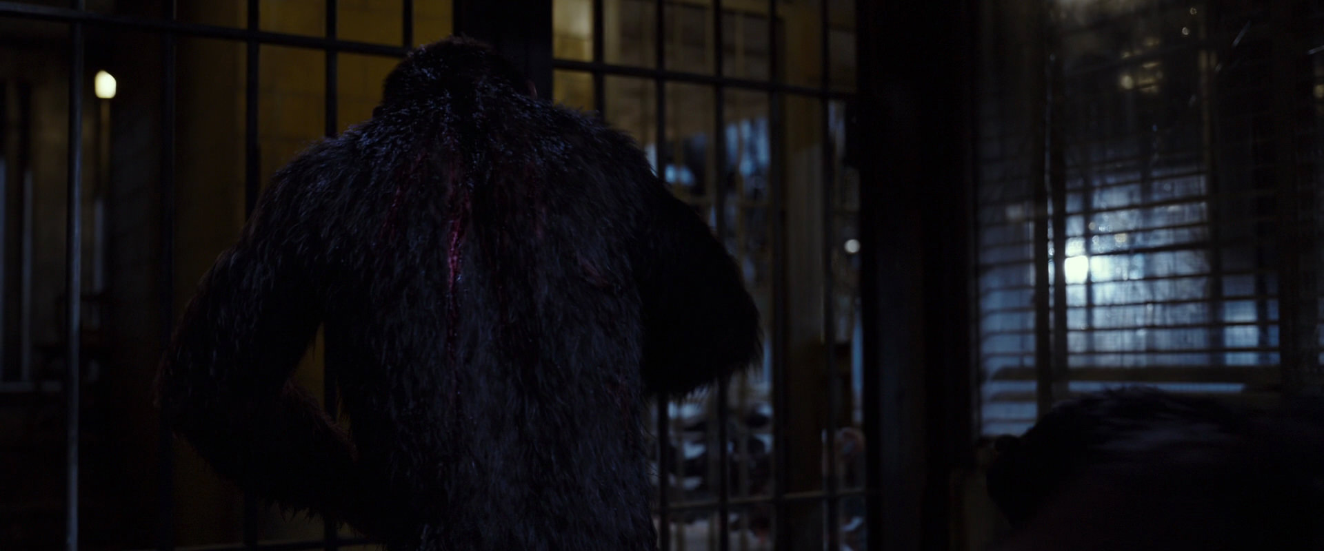 War for the Planet of the Apes (2017) screencap 12888