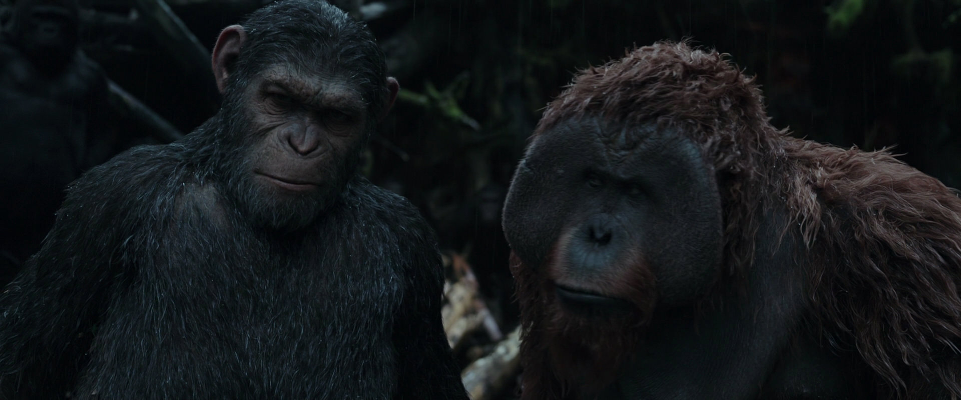 War for the Planet of the Apes (2017) HD screenshot 1289
