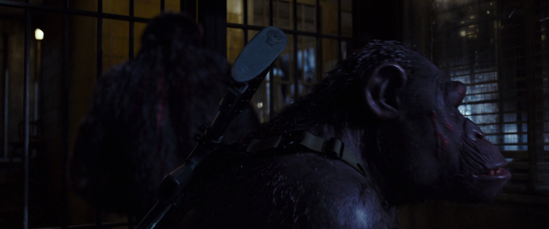 War for the Planet of the Apes (2017) screencap 12891