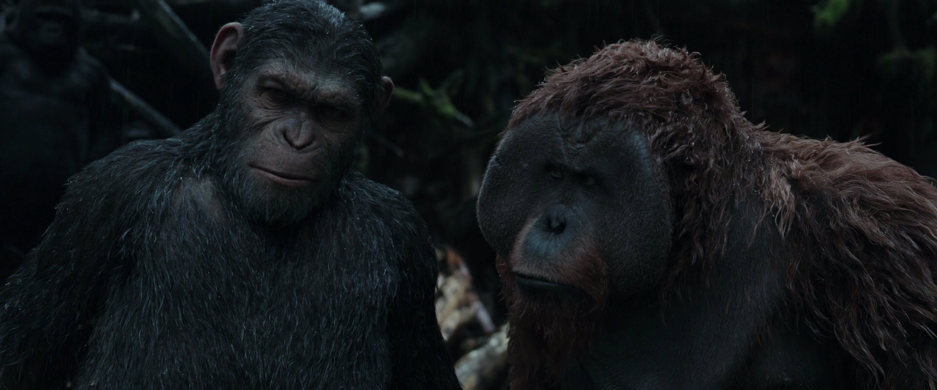 War for the Planet of the Apes (2017) screencap 1290