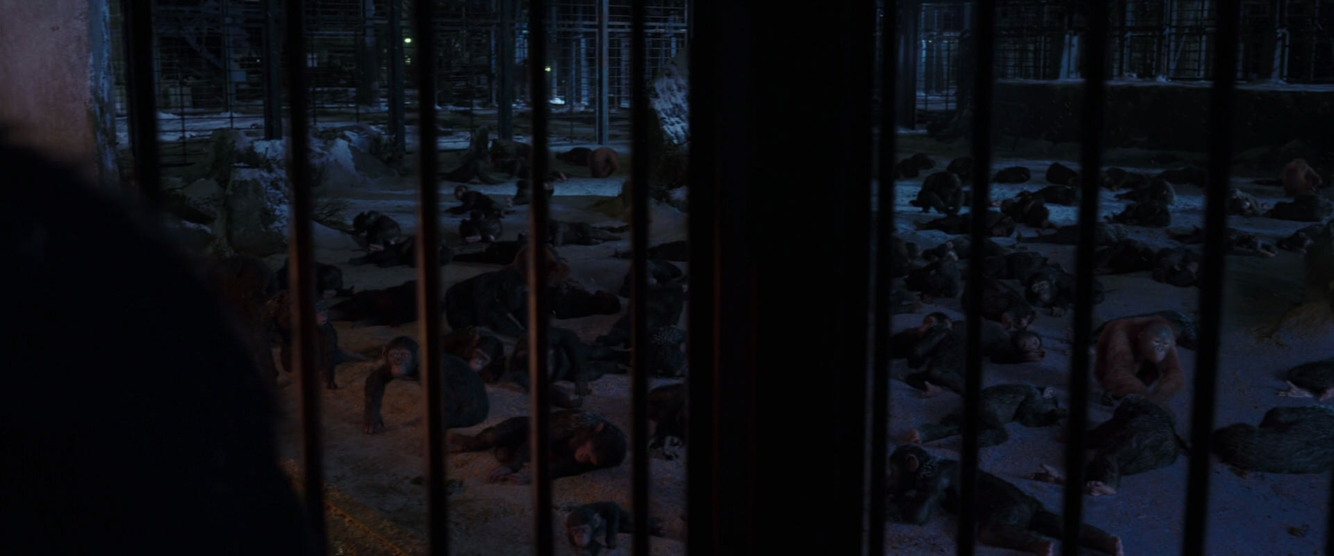 War for the Planet of the Apes (2017) screencap 12900