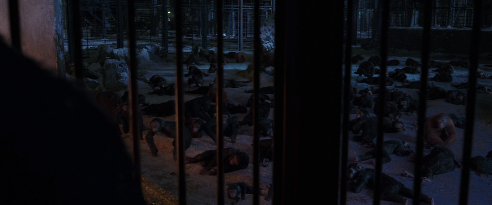 War for the Planet of the Apes (2017) movie still 12901